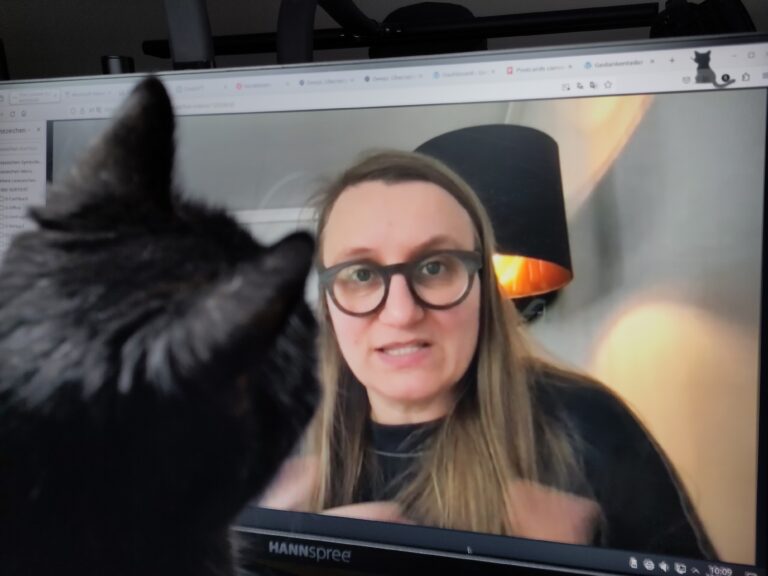 Eine Katze schaut auf einen Monitor, auf dem ein Liv video zu sehen ist, indem eine Frau spricht.
