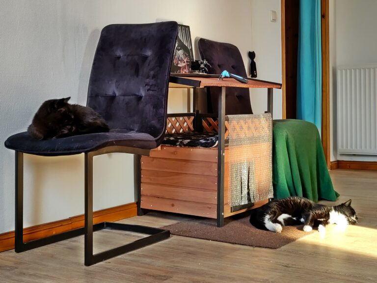 Zwei Katzen auf einem Wohnungsflur. Eine schwarze Katze liegt auf einem Stuhl, eine Schwarz-Weiße Katze auf einer Kratzmatte, auf dem Boden in der Sonne.