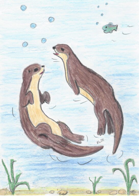 Selbstgemalte Postkarte mit zwei Seeottern, die unter Wasser miteiander spielen.